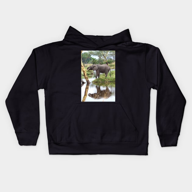 African Elephants, Serengeti National Park, Tanzania. Kids Hoodie by Carole-Anne